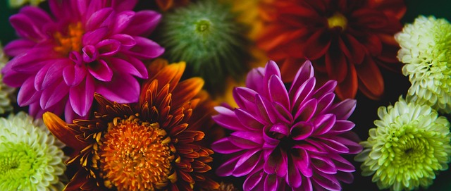 独行侠的防 独行侠的防