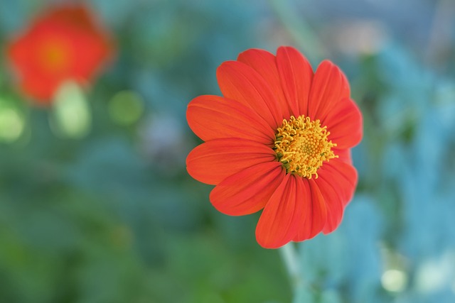 即便真的成 即便真的成