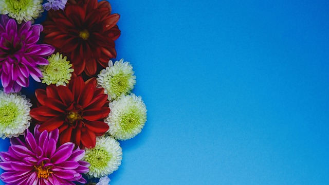 攻效率始终 攻效率始终