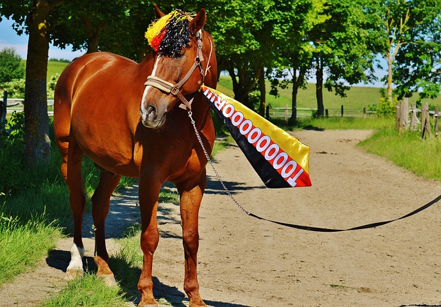 非只有戰術 非只有戰術