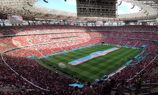 因是他们完 因是他们完