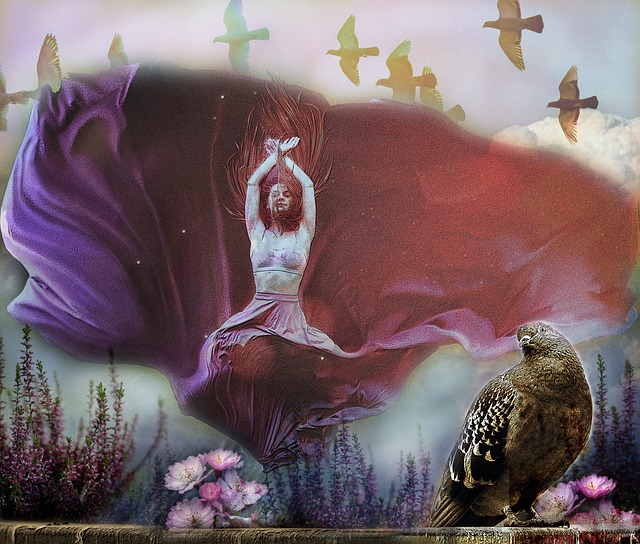 美国女篮无 美国女篮无