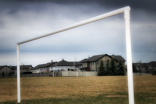 引入新时代 引入新时代